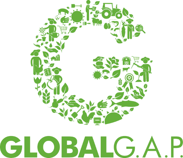 Certificado GLOBAL G.A.P